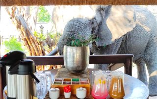 elephant-standing-behind-a-table-with-drinks-on-it