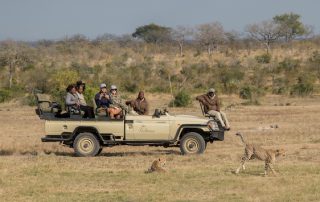 safari-vehicle-filled-with-people-looking-at-cheetah