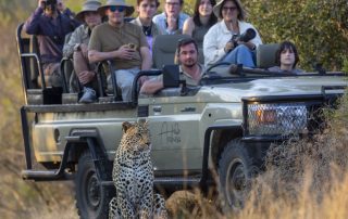 Group of tourists on a safari tour in an open vehicle at Arathusa Safari Lodge, with a leopard sitting nearby.